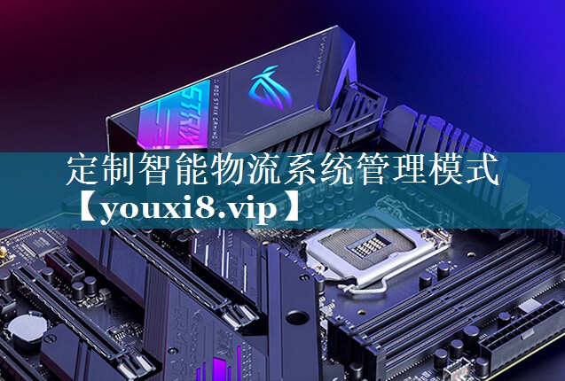 定制智能物流系统管理模式