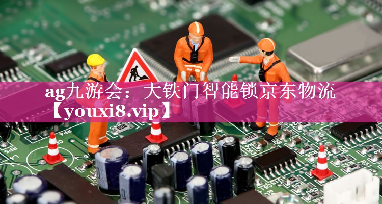 ag九游会：大铁门智能锁京东物流