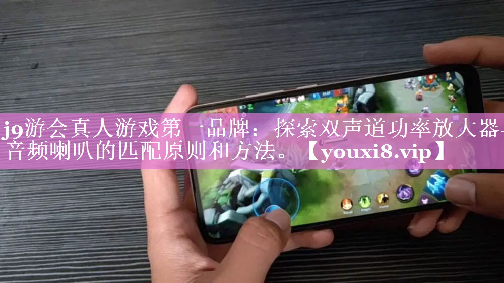 j9游会真人游戏第一品牌：探索双声道功率放大器与音频喇叭的匹配原则和方法。