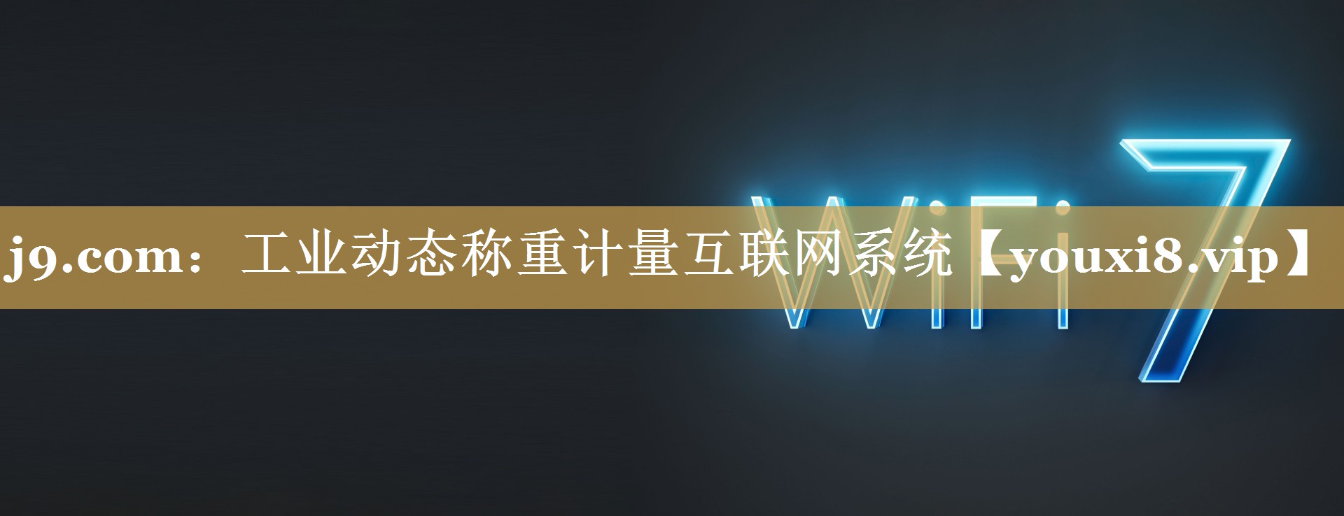 工业动态称重计量互联网系统 工业动态称重计量互联网系统