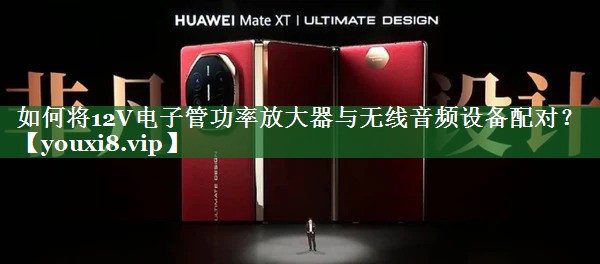如何将12V电子管功率放大器与无线音频设备配对? 如何将12V电子管功率放大器与无线音频设备配对?