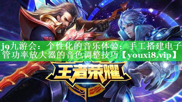 个性化的音乐体验:手工搭建电子管功率放大器的音色调整技巧 个性化的音乐体验:手工搭建电子管功率放大器的音色调整技巧