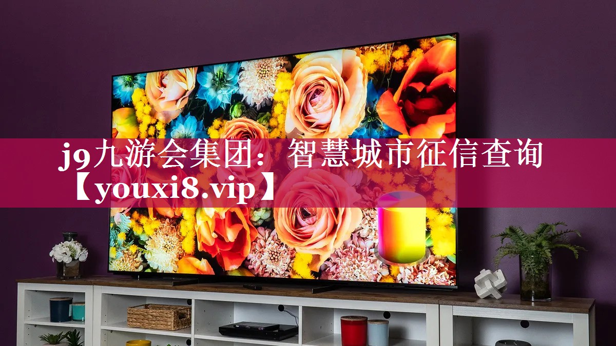智慧城市征信查询 智慧城市征信查询