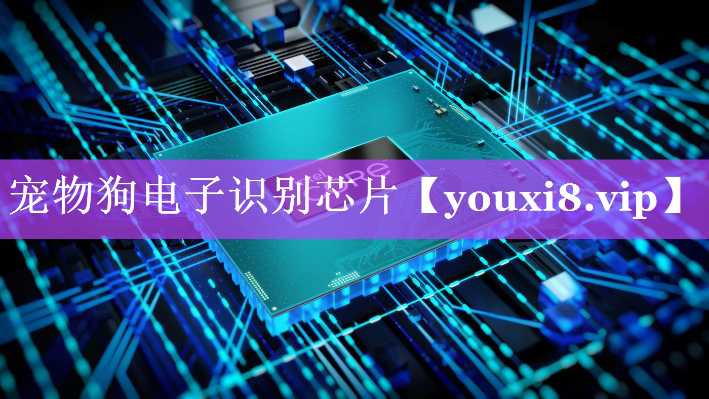 宠物狗电子识别芯片 宠物狗电子识别芯片