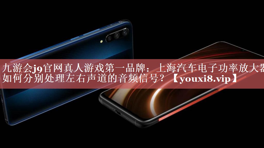 上海汽车电子功率放大器如何分别处理左右声道的音频信号? 上海汽车电子功率放大器如何分别处理左右声道的音频信号?