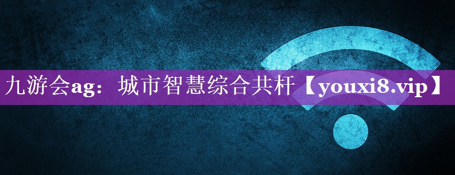 城市智慧综合共杆 城市智慧综合共杆