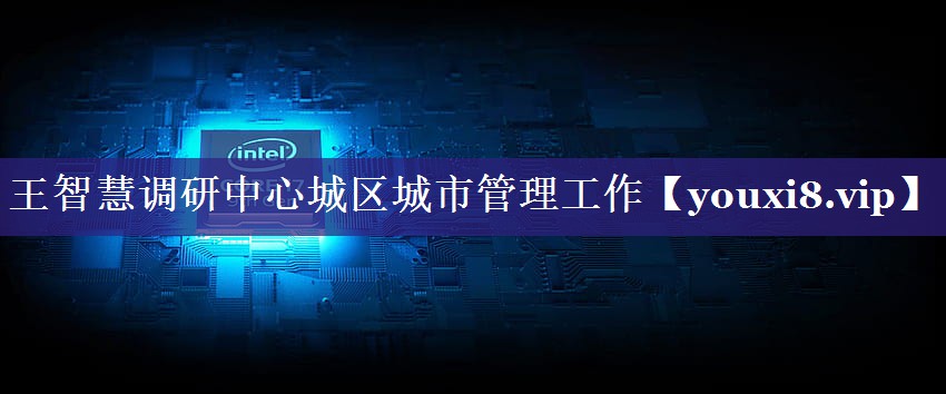 王智慧调研中心城区城市管理工作 王智慧调研中心城区城市管理工作