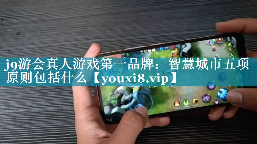 智慧城市五项原则包括什么 智慧城市五项原则包括什么