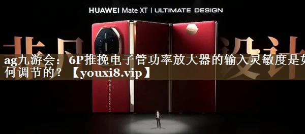 6P推挽电子管功率放大器的输入灵敏度是如何调节的? 6P推挽电子管功率放大器的输入灵敏度是如何调节的?