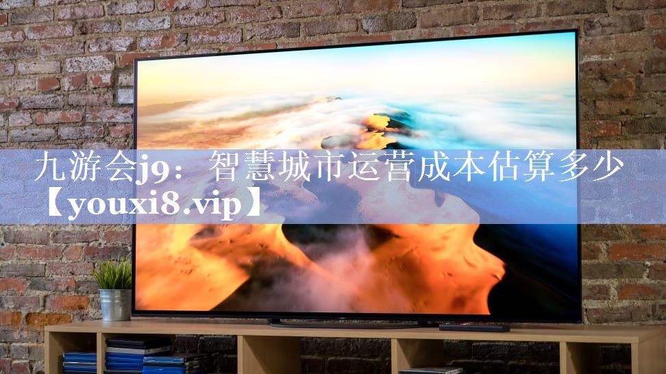 智慧城市运营成本估算多少 智慧城市运营成本估算多少