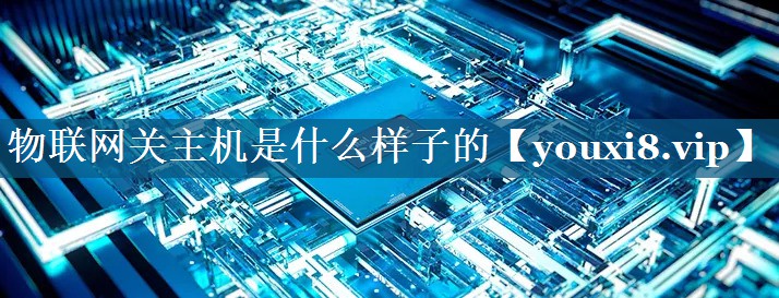 物联网关主机是什么样子的 物联网关主机是什么样子的