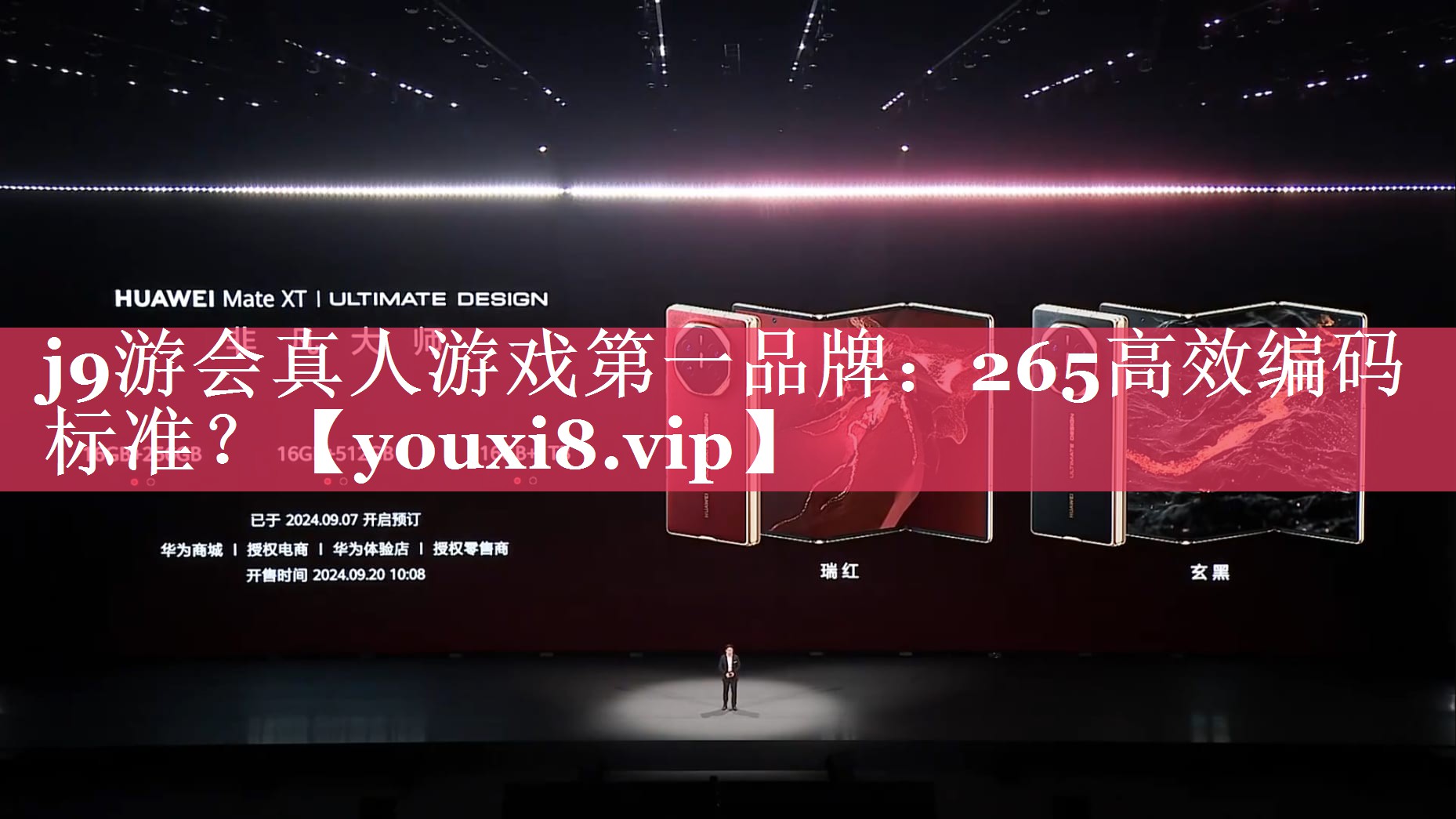 265高效编码标准? 265高效编码标准?