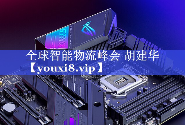 全球智能物流峰会 胡建华 全球智能物流峰会 胡建华