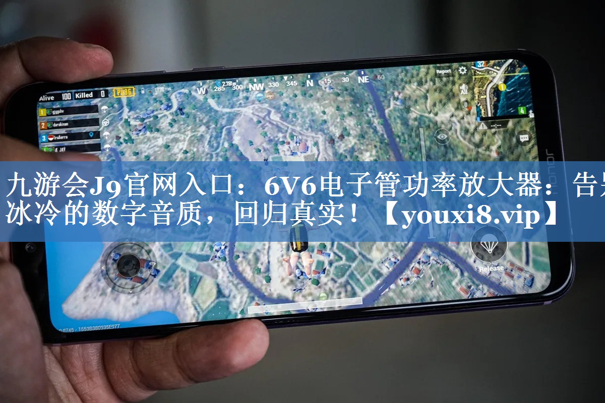 6V6电子管功率放大器:告别冰冷的数字音质,回归真实! 6V6电子管功率放大器:告别冰冷的数字音质,回归真实!
