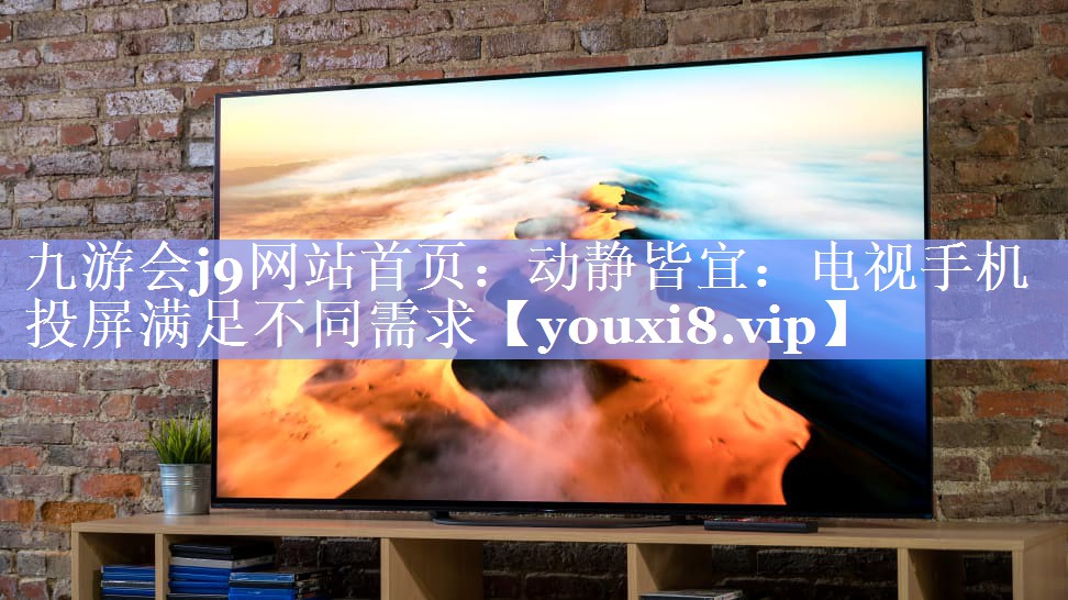 动静皆宜:电视手机投屏满足不同需求 动静皆宜:电视手机投屏满足不同需求