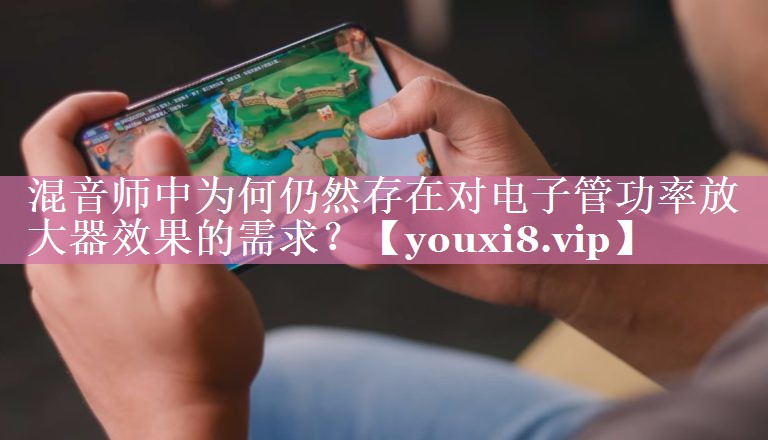 混音师中为何仍然存在对电子管功率放大器效果的需求? 混音师中为何仍然存在对电子管功率放大器效果的需求?