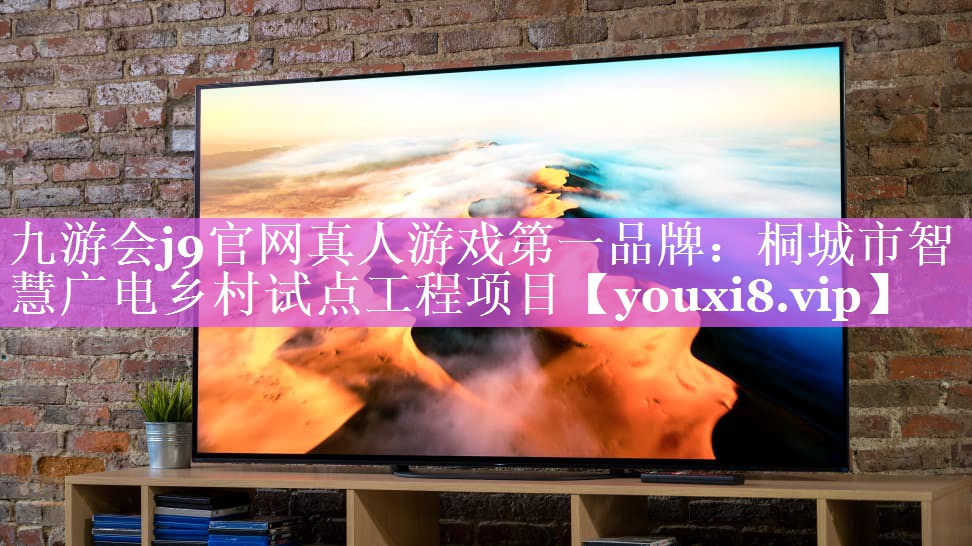 桐城市智慧广电乡村试点工程项目 桐城市智慧广电乡村试点工程项目