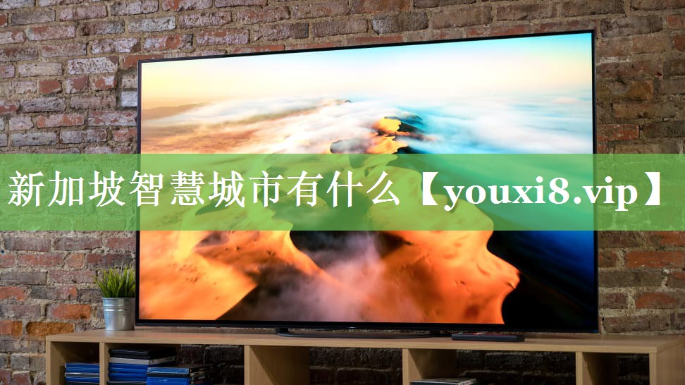 新加坡智慧城市有什么 新加坡智慧城市有什么