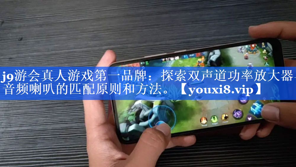 探索双声道功率放大器与音频喇叭的匹配原则和方法。 探索双声道功率放大器与音频喇叭的匹配原则和方法。
