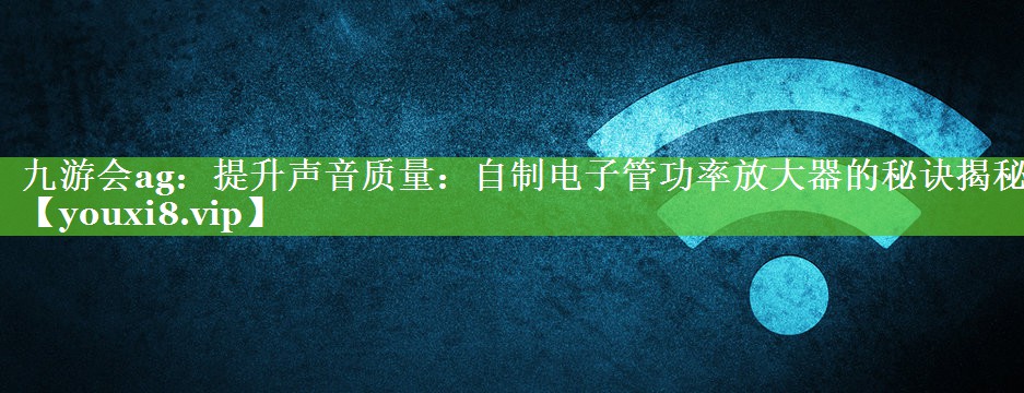 提升声音质量:自制电子管功率放大器的秘诀揭秘 提升声音质量:自制电子管功率放大器的秘诀揭秘
