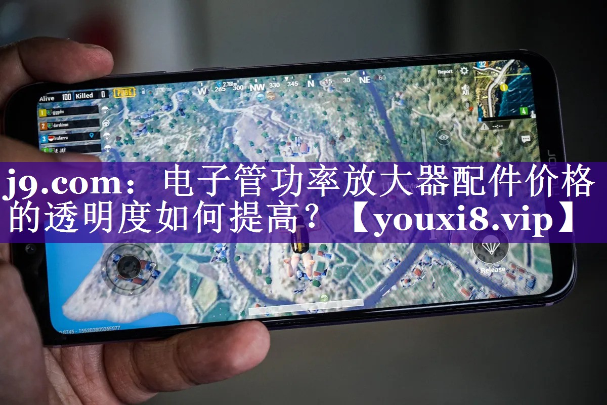 电子管功率放大器配件价格的透明度如何提高? 电子管功率放大器配件价格的透明度如何提高?