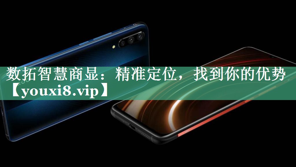 数拓智慧商显：精准定位，找到你的优势